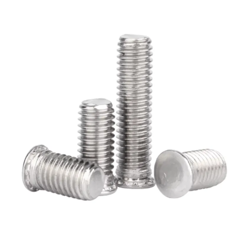 Stainless Steel Press-Fit Screws