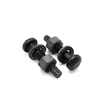 Steel Structure High Strength Torsion Shear Bolt